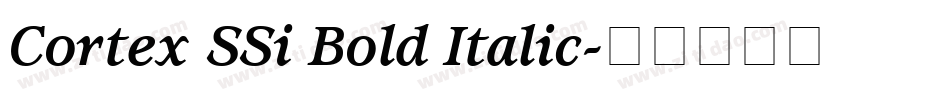 Cortex SSi Bold Italic字体转换